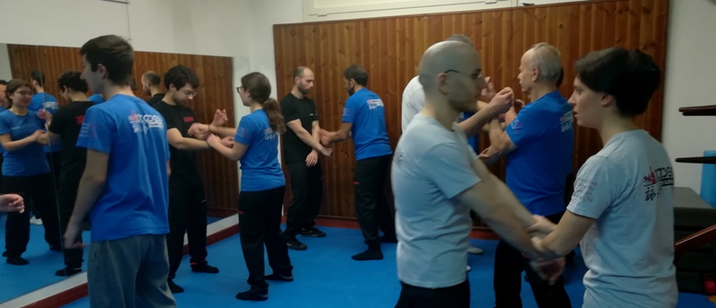 Kung Fu Caserta Wing Chun Caserta Italia con Sifu Mezzone wing tjun wing tsun sanda tai chi taiji kungfuitalia.it arti marziali (31)